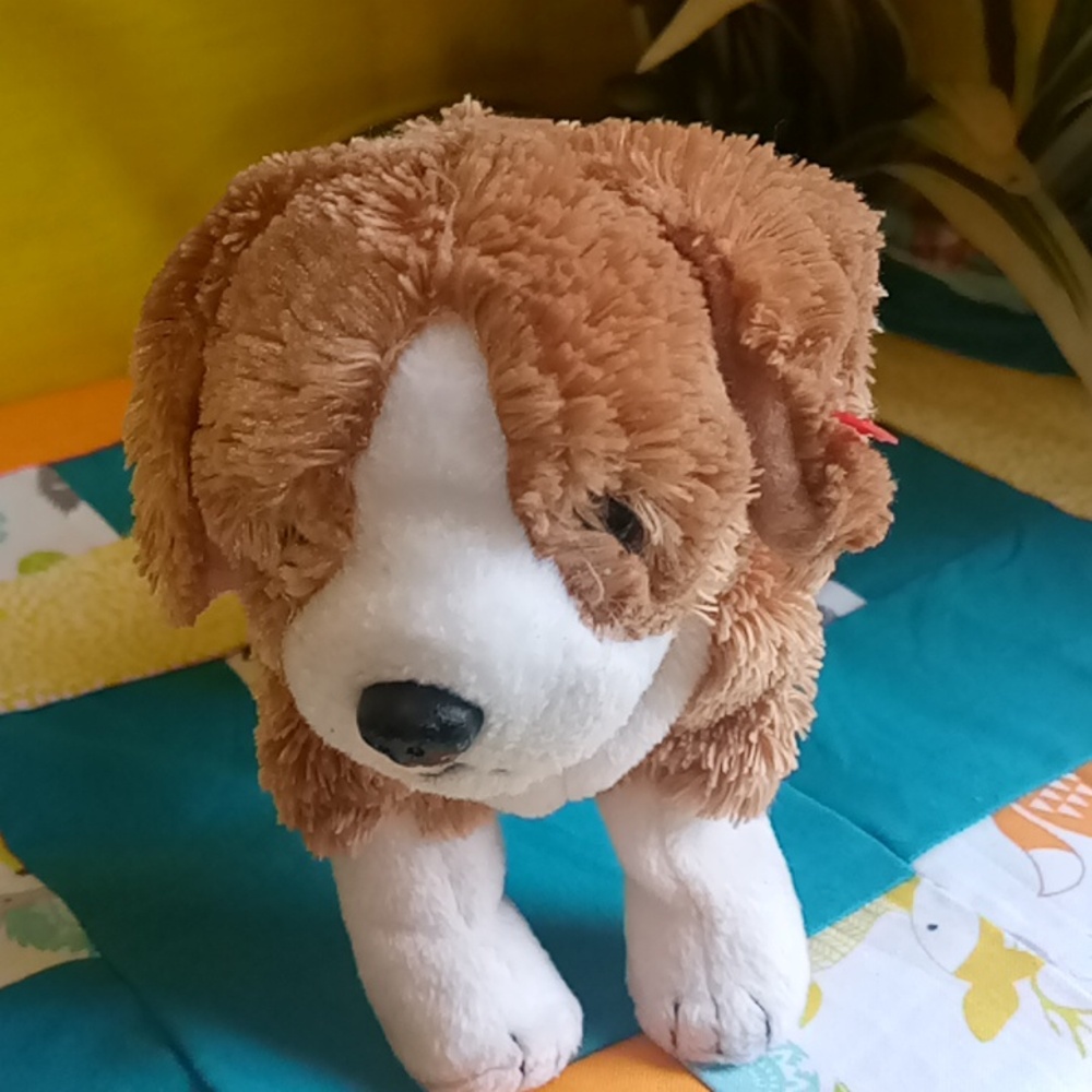Side-kick St Bernard beanie baby